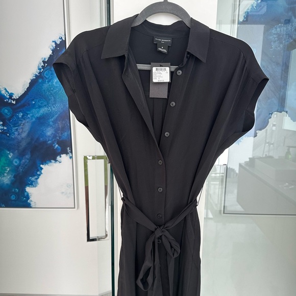 Club Monaco Danielle Silk Dress - New with Tags - Picture 5 of 5